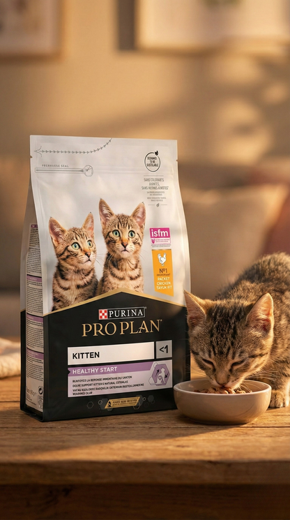 Pro Plan Kitten Yavru Kedi Maması