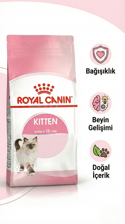 Royal Canin Kitten Yavru Kedi Maması