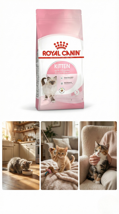 Royal Canin Kitten Yavru Kedi Maması
