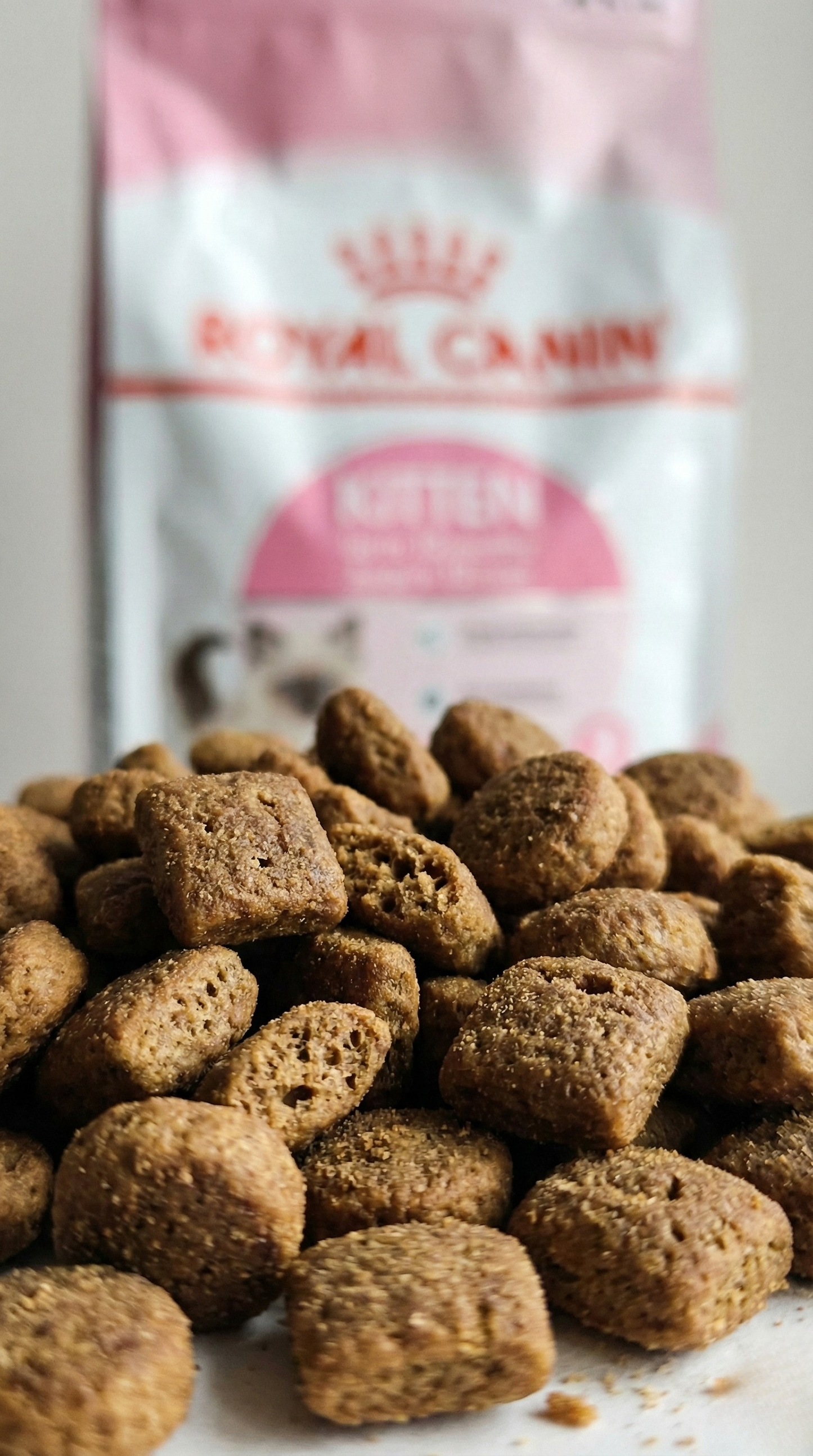 Royal Canin Kitten Yavru Kedi Maması