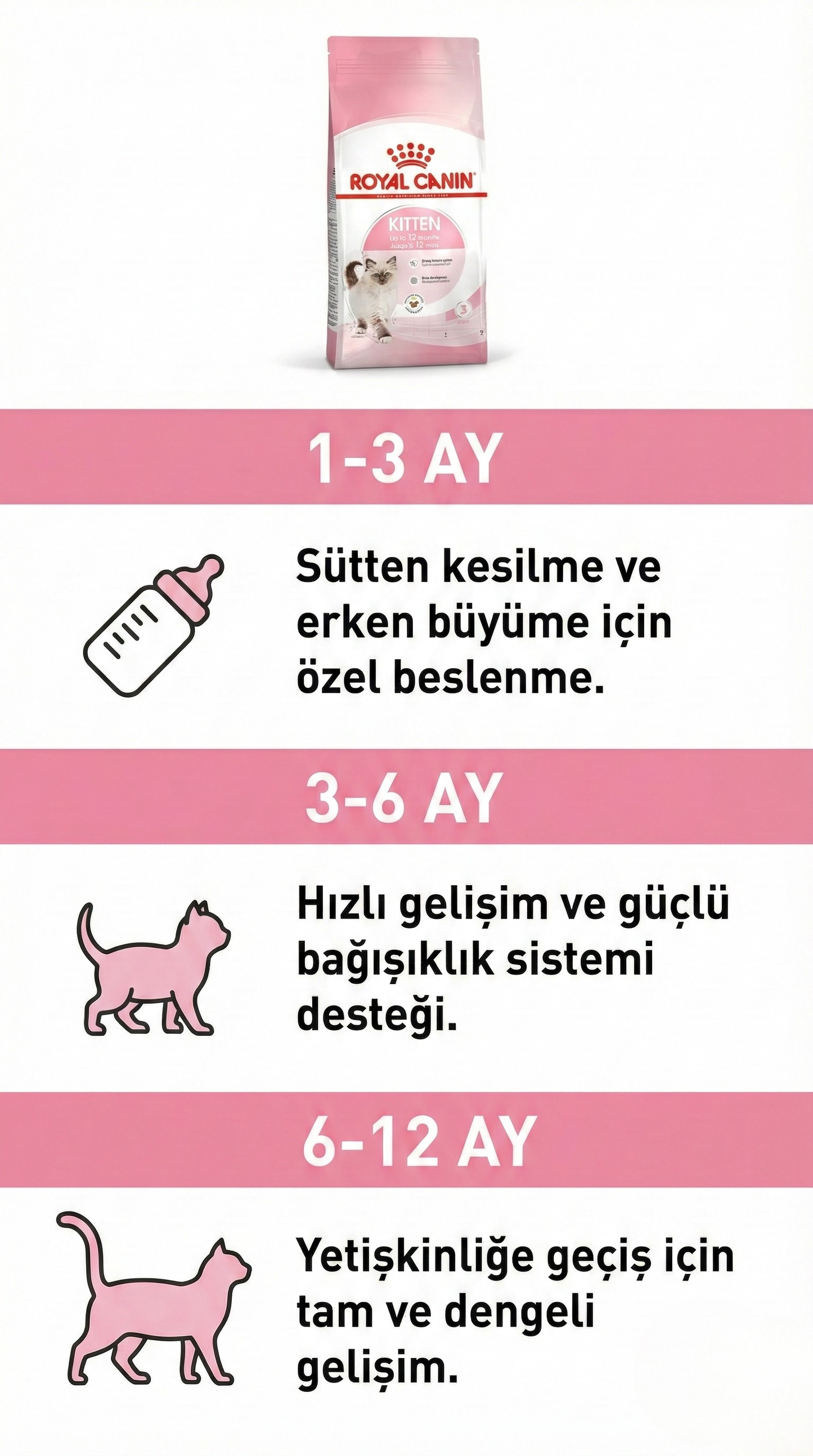 Royal Canin Kitten Yavru Kedi Maması