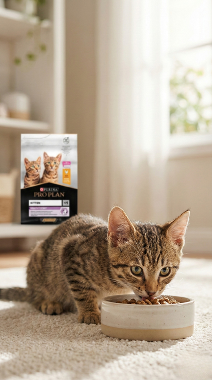Pro Plan Kitten Yavru Kedi Maması